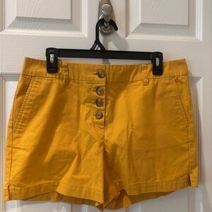 Loft Yellow/Gold shorts‎